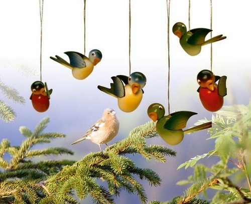 Strauchbehang singvogel - strauchbehang, 6